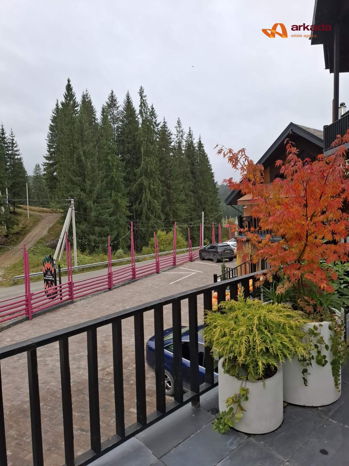 Продається сучасний котеджний комплекс в серці Карпат. Працюючий бізнес!